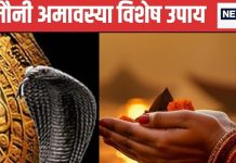 Mauni Amavasya 2025 Upay: मौनी अमावस्या पर कर लें ये खास उपाय, कालसर्प दोष से मिलेगी मुक्ति, घर आएगी सुख-समृद्धि