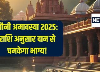 मौनी अमावस्या पर राशि अनुसार करें दान, पितरों का मिलेगा आशीर्वाद, बढ़ेगी धन-संपत्ति! – Bharat.one हिंदी