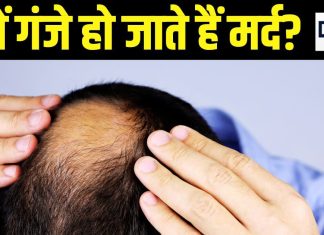 उम्र बढ़ने के साथ क्यों गंजे होने लगते हैं मर्द? पुरुषों में गंजेपन की ये हैं 5 बड़ी वजह, जानें इसका विज्ञान