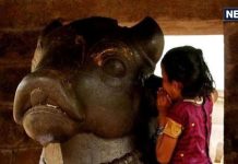 Nandi Ki Puja: नंदी के कान में मनोकामना मांगने का जानें नियम, कम ही लोग जानते होंगे इसके पीछे का रहस्य