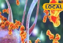 मौत या गुत्थी? सोलापुर के मरीज की मौत GBS से या कुछ और, जांच से होगा सच साफ