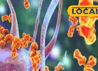 मौत या गुत्थी? सोलापुर के मरीज की मौत GBS से या कुछ और, जांच से होगा सच साफ