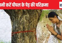 Peepal ki Puja Niyam: 5, 7 या 11… कितनी बार करें पीपल के पेड़ की परिक्रमा? यहां जानें पीपल पूजा से जुड़े नियम