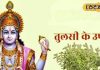Putrada ekadashi 2025 vrat kab hai special remedies related to Tulsi Maa Lakshmi will shower money know Putrada Ekadashi January date and time