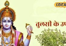Putrada ekadashi 2025 vrat kab hai special remedies related to Tulsi Maa Lakshmi will shower money know Putrada Ekadashi January date and time