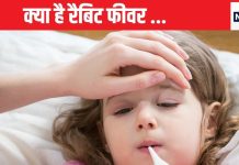 अब ये रैबिट फीवर क्या है? क्यों हो गई है डरने वाली बात, रेयर बीमारी से US परेशान, क्या है इसके लक्षण