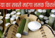 कोरियाई बांस नमक: दुनिया का सबसे महंगा नमक, जानिए इसके फायदे और कीमत