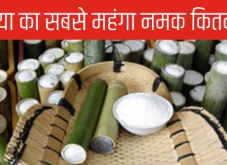 कोरियाई बांस नमक: दुनिया का सबसे महंगा नमक, जानिए इसके फायदे और कीमत