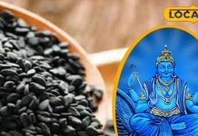 माघ महीने में काले तिल का ये उपाय साढ़ेसाती और ढैय्या में देगा राहत, शनि आप पर नहीं डालेंगे कुदृष्टि!