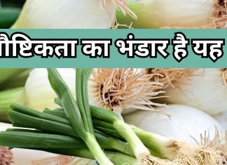 आंखों में धार, मसल्स में ताकत और हड्डियों में जान ला देती है यह खास प्याज, पेट भी हो जाता है साफ