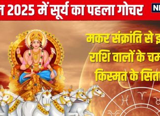 Surya Gochar Makar Rashi 2025: 14 जनवरी को सूर्य का गोचर, इन 4 राशिवालों का शुरू होगा गोल्डन टाइम! जानें शुभ प्रभाव