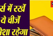 Vastu Tips For Purse: पर्स में रखें ये 9 चीजें, कंगाली पास में भटकेगी नहीं, कर्जा भी होगा दूर! जानें वास्तु नियम