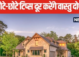 Home Vastu Tips: किचन में बल्ब, मुख्य द्वार पर घोड़े की नाल, ऐसे कुछ उपाय दूर करेंगे वास्तु दोष, बिना तोड़फोड़ घर में लाएं सुख-शांति!