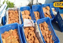 15 एकड़ में ऑर्गेनिक गन्ना, कोल्हू से तैयार कर रही 500 क्विंटल गुड़, जानें 19 वर्षीय लड़की की कहानी