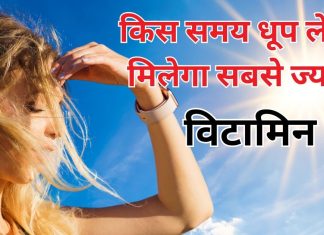 सूरज की रोशनी से किस टाइम मिलेगा सबसे ज्यादा विटामिन डी, जानेंगे तभी जाकर रहेंगे हेल्दी, वरना सब बेकार