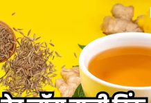 जीरा-हल्दी पानी के फायदे: वजन घटाएं, पाचन सुधारें और इम्यूनिटी बढ़ाएं