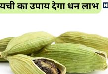 इलायची के चमत्कारी उपाय: आर्थिक समस्याओं से मुक्ति और सफलता के टिप्स