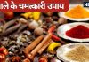 Masale Ka Upay: रसोई में रखे इन 6 मसालों से आप बदल सकते हैं अपनी तकदीर, जानें कब और कैसे करें उपाय