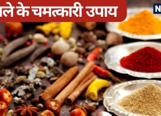 Masale Ka Upay: रसोई में रखे इन 6 मसालों से आप बदल सकते हैं अपनी तकदीर, जानें कब और कैसे करें उपाय