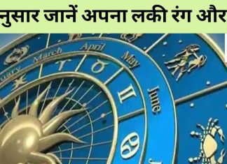 Astro Tips: क्या है आपकी राशि का शुभ अंक और रंग? इनका इस्तेमाल कर बुलंद करें अपनी किस्मत