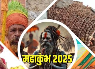 किसी ने सिर पर उगाई फसल तो किसी ने 45 किलो रुद्राक्ष पहनकर खींचा ध्यान, महाकुंभ में दिखा साधुओं का जलवा – Bharat.one हिंदी