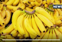 सुबह-सुबह खाली पेट केला खाने से क्या होगा? शरीर को मिलेगा फायदा या होगा नुकसान, जानें