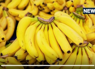 सुबह-सुबह खाली पेट केला खाने से क्या होगा? शरीर को मिलेगा फायदा या होगा नुकसान, जानें