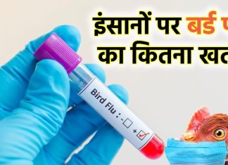 अगर इस वायरस का म्यूटेशन हुआ तो दुनिया में तहलका मचा सकती है यह बीमारी, WHO के वैज्ञानिक ने किया अगाह, अभी संभलने का मौका