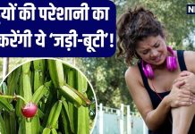 नाम कमाल-काम बेमिसाल…1 या 2 नहीं, सैकड़ों बीमारियों की औषधि छिपाए बैठी है ये बेल, इस्तेमाल से होंगे चौंकाने वाले लाभ