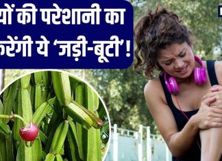 नाम कमाल-काम बेमिसाल…1 या 2 नहीं, सैकड़ों बीमारियों की औषधि छिपाए बैठी है ये बेल, इस्तेमाल से होंगे चौंकाने वाले लाभ