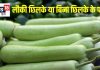 क्या लौकी को छिलका सहित पका कर खाना चाहिए? जानें फायदे-नुकसान, सेवन का सही तरीका