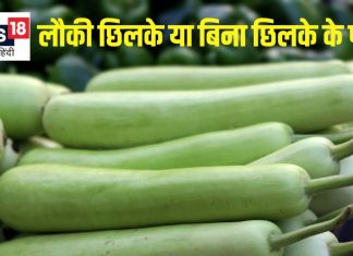 क्या लौकी को छिलका सहित पका कर खाना चाहिए? जानें फायदे-नुकसान, सेवन का सही तरीका