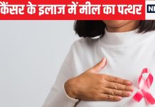ब्रेस्ट कैंसर की होगी अब ऐसी की तैसी, IIT ने इसे खत्म करने के लिए बनाया हाइड्रोजेल, कोशिकाओं को अंदर घुसकर मारेगा