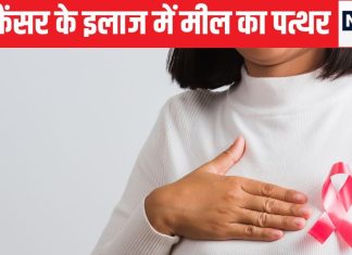 ब्रेस्ट कैंसर की होगी अब ऐसी की तैसी, IIT ने इसे खत्म करने के लिए बनाया हाइड्रोजेल, कोशिकाओं को अंदर घुसकर मारेगा