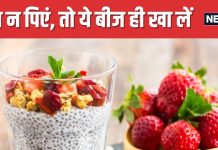 рдЗрди рдЬрд░рд╛ рд╕реЗ рдмреАрдЬреЛрдВ рдореЗрдВ рджреВрдз рд╕реЗ рднреА рдЬреНрдпрд╛рджрд╛ рдХреИрд▓реНрд╢рд┐рдпрдо ! рд░реЛрдЬ 1 рдЪрдореНрдордЪ рднреА рдЦрд╛ рд▓реЗрдВрдЧреЗ рддреЛ рд╣рдбреНрдбрд┐рдпрд╛рдВ рдмрдиреЗрдЧреА рд▓реЛрд╣реЗ рдЬреИрд╕реА рдордЬрдмреВрдд