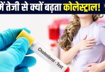 आखिर ठंड में तेजी से क्यों बढ़ता है कोलेस्ट्रॉल लेवल? किस अंग पर पड़ता अधिक प्रभाव, एक्सपर्ट से जानें बचाव के तरीके