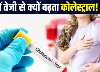 आखिर ठंड में तेजी से क्यों बढ़ता है कोलेस्ट्रॉल लेवल? किस अंग पर पड़ता अधिक प्रभाव, एक्सपर्ट से जानें बचाव के तरीके