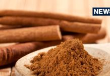 नसों में जमे कोलेस्ट्रॉल का नाश कर देगा यह मसाला ! सिर्फ चुटकीभर करें सेवन, मिलेंगे चमत्कारी फायदे