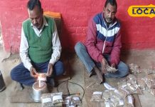 क्या आप जानते हैं कैसे बनती है जड़ी बूटी? यहां जाने सबकुछ – Bharat.one हिंदी