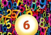 Date of Birth 6 Numerology: इस तारीख में जन्म लेने वालों को नहीं होती किसी चीज की कमी, बन जाते हैं करोड़पति!