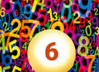 Date of Birth 6 Numerology: इस तारीख में जन्म लेने वालों को नहीं होती किसी चीज की कमी, बन जाते हैं करोड़पति!