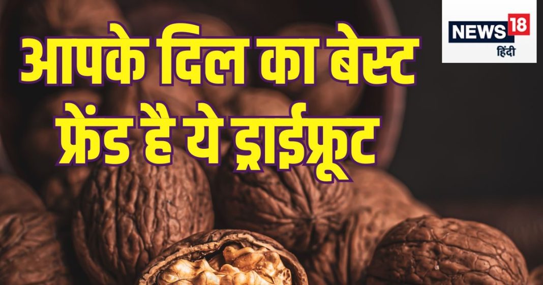 काजू-बादाम छोड़ो, सर्दी में खाओ ये चमत्कारिक ‘मेवा’, चर्बी और कॉलेस्ट्रोल दोनों को सटासट पिघला कर करेगा बाहर