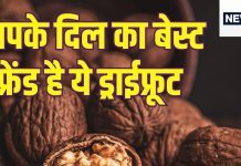 काजू-बादाम छोड़ो, सर्दी में खाओ ये चमत्कारिक ‘मेवा’, चर्बी और कॉलेस्ट्रोल दोनों को सटासट पिघला कर करेगा बाहर