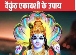 Vaikuntha Ekadashi 2025 Upay: वैकुंठ एकादशी के दिन करें विशेष उपाय, पलट सकती है किस्मत, धन-धान्य से भरेगी झोली!