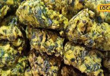 क्या आपने खाए हैं बिहारीगढ़ के पकौड़े? गोभी, बैंगन, समेत इतने प्रकार के उपलब्ध, 18 घंटे खुली रहती है दुकान