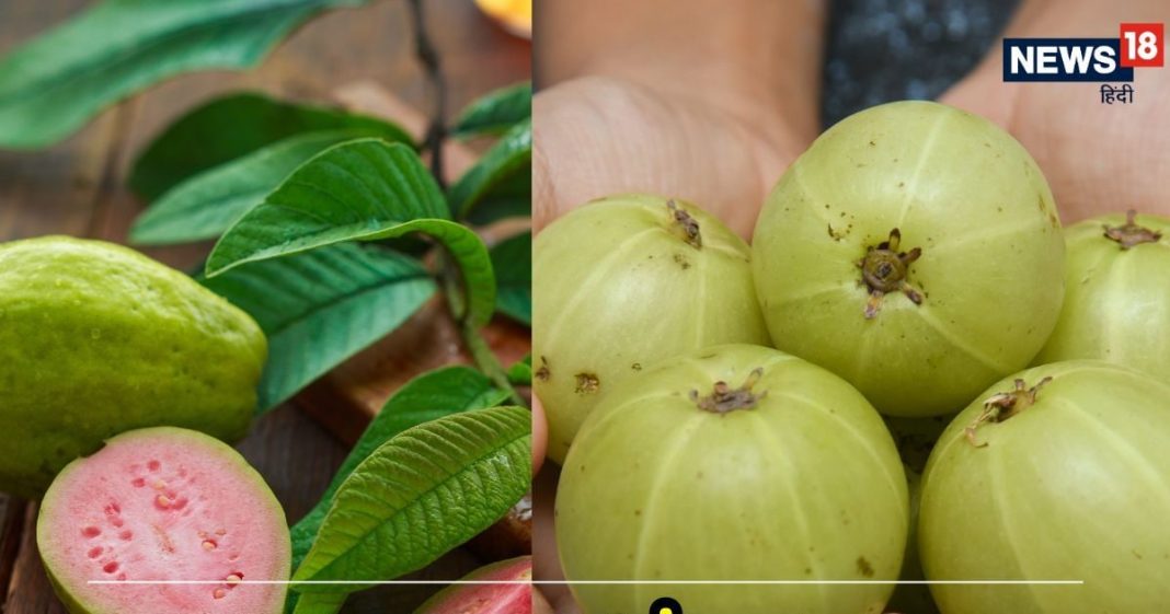 अमरूद या आंवला… किसमें सबसे ज्यादा विटामिन-सी? जानें हेल्थ बेनिफिट्स