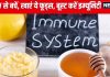 इम्यूनिटी होगी स्ट्रॉन्ग तो फेफड़ों तक नहीं पहुंच सकेगा HMPV वायरस, खाना शुरू कर दें ये 7 चीजें, रेस्पिरेटरी इंफेक्शन से भी बचेंगे