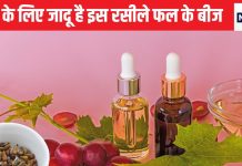 त्वचा में निखार और खून में वलवला ले आते है इस रसीले फल के बीज, अगली बार से कतई नहीं फेकिएगा, बीपी को भी कर देगा कंट्रोल