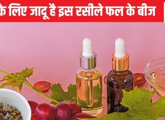त्वचा में निखार और खून में वलवला ले आते है इस रसीले फल के बीज, अगली बार से कतई नहीं फेकिएगा, बीपी को भी कर देगा कंट्रोल