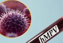 hmpv virus situation in india gujarat cases reported safety measures sa